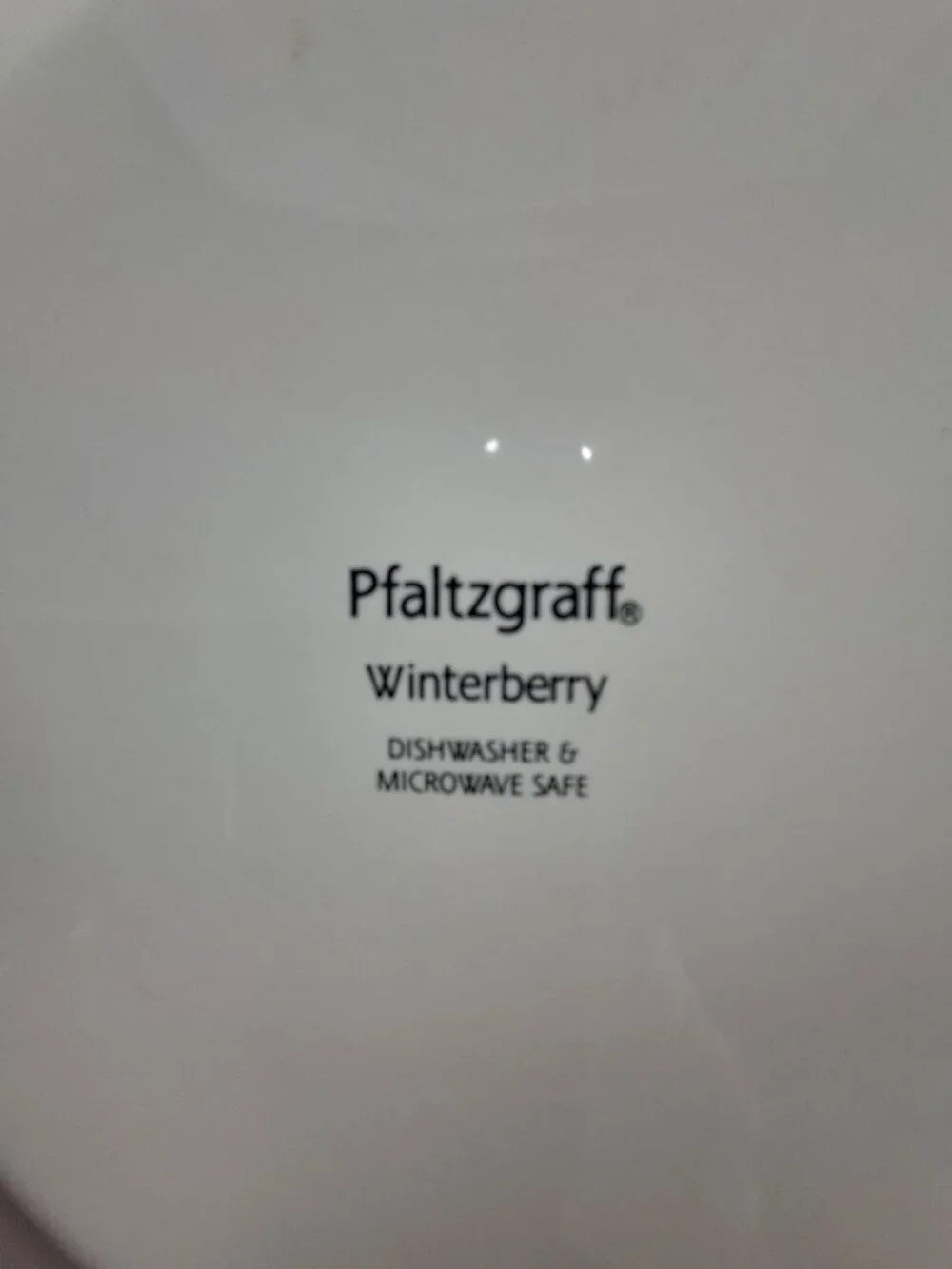 Pfaltzgraff Winterbury 12